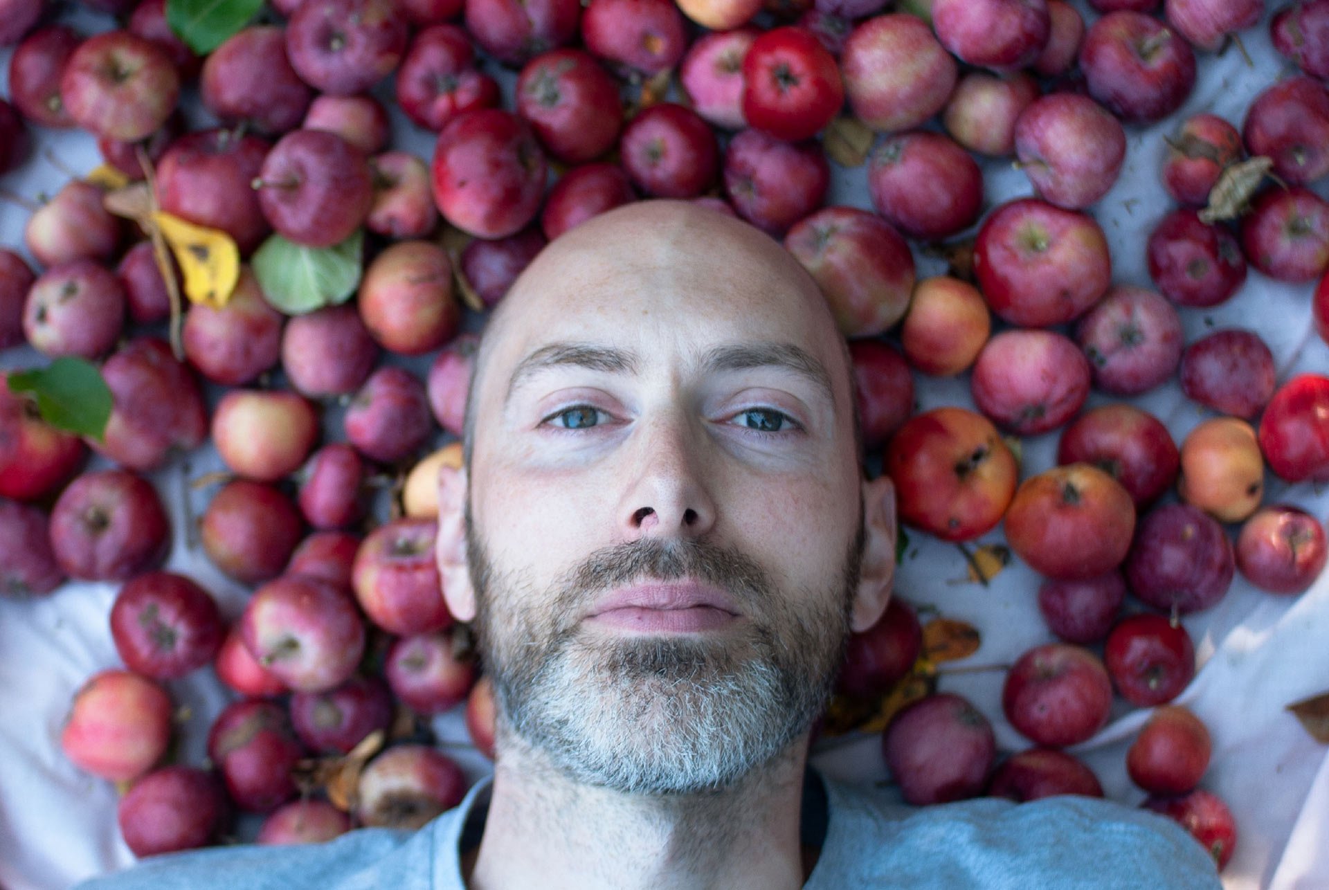 a-portrait-of-a-man-looking-directly-at-you-while-lying-down-on-a-lawn-covered-with-apples