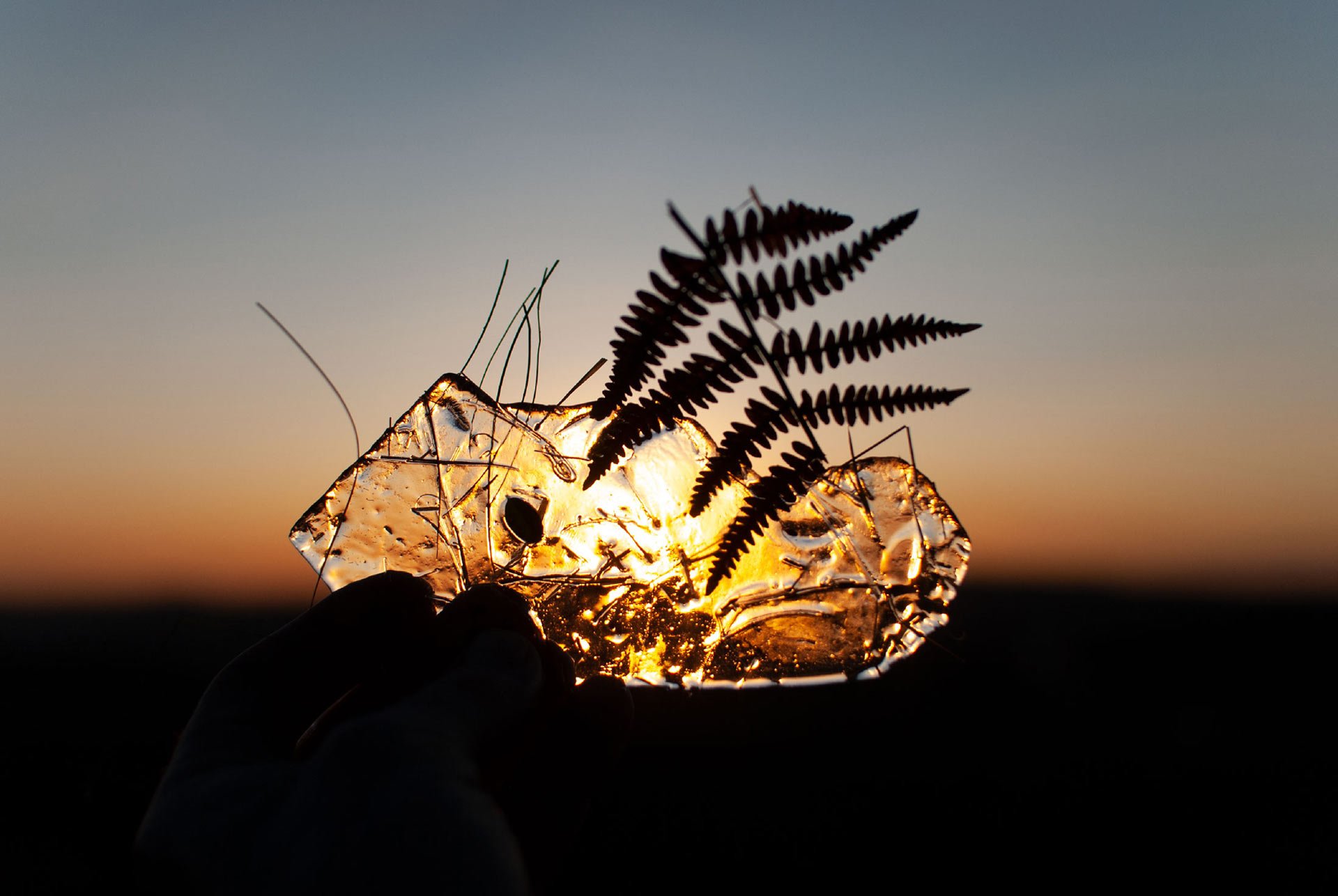 a-small-piece-of-an-ice-sheet-where-dry-grass-and-herbs-are-stuck-while-a-person-holds-in-hand-looking-to-sunset-through-it