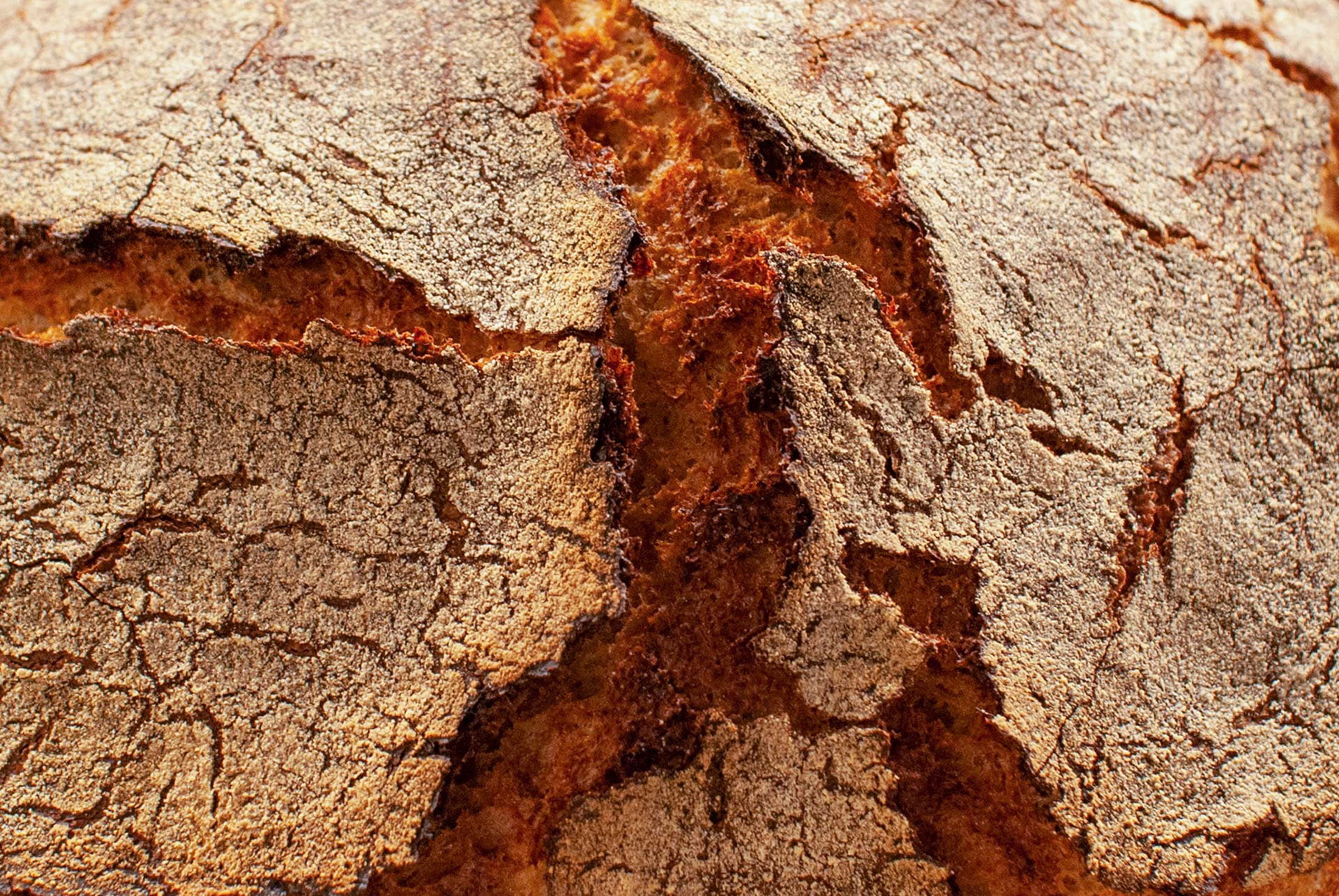 close-up-of-a-rye-bread-sourdough-with-nicely-cracking-crust
